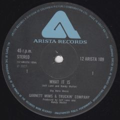 Garnett Mims & Truckin Company - Garnett Mims & Truckin Company - What It Is - Arista