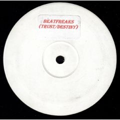 The Beatfreaks - The Beatfreaks - Trust / Destiny - Underground Artists