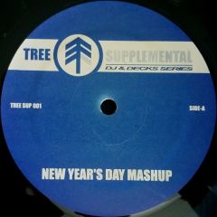 DJ Icey - DJ Icey - New Year's Day Mashup - Tree Records