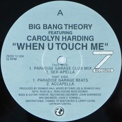 Big Bang Theory - Big Bang Theory - When U Touch Me - Z Records