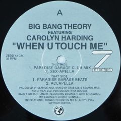 Big Bang Theory - Big Bang Theory - When U Touch Me - Z Records