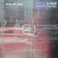 DJ Kalm - DJ Kalm - Violet - Central Intelligence