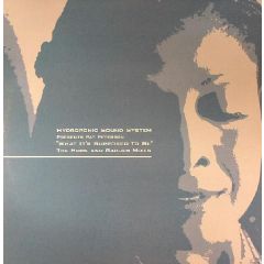  Hydroponic Sound System Presents Pat Peterson -  Hydroponic Sound System Presents Pat Peterson - What It's Supposed To Be - Icon Recordings