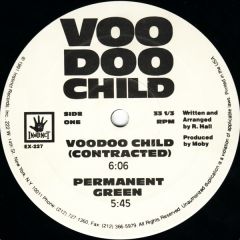 Voodoo Child - Voodoo Child - Voodoo Child - Instinct