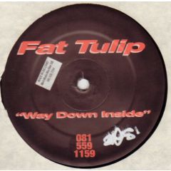 Fat Tulip - Fat Tulip - Way Down Inside - Dark