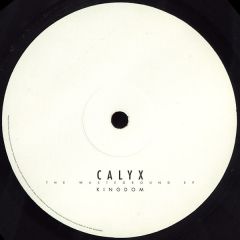 Calyx - Calyx - The Wasteground EP - Moving Shadow