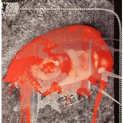 2 Rare People - 2 Rare People - Electric Circus - Permissive 4