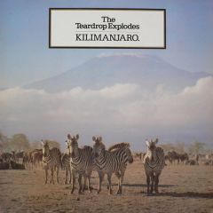 The Teardrop Explodes - The Teardrop Explodes - Kilimanjaro - Mercury