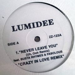 Lumidee / Notch - Lumidee / Notch - Never Leave You / Crazy In Love Remix - Not On Label (Lumidee), Not On Label (Notch)