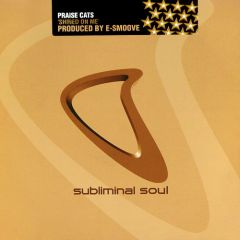 Praise Cats Feat. Andrea Love - Praise Cats Feat. Andrea Love - Shined On Me - Subliminal Soul