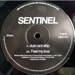 Sentinel - Sentinel - Just Cant Stop - Mish Mash
