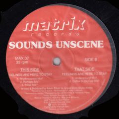 Sounds Unscene - Sounds Unscene - Feelings Are Here To Stay - Matrix Records