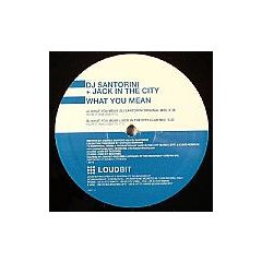 DJ Santorini - DJ Santorini - What You Mean - Loud Bit Records