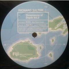 Richard Salter - Richard Salter - Dimensions Of Depth Vol.2 - Fiji 
