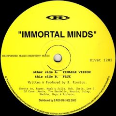 Immortal Minds - Immortal Minds - Pinakle Vision - Reinforced