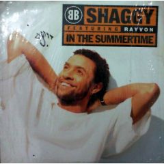 Shaggy Feat. Rayvon - Shaggy Feat. Rayvon - In The Summertime - Virgin