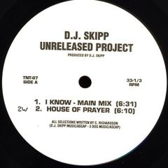 DJ Skipp - DJ Skipp - Unreleased Project - Freeze