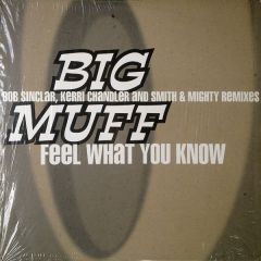 Big Muff - Big Muff - Feel What You Know - Maxi Records