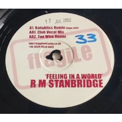 R M Stanbridge - R M Stanbridge - Feeling In A World - Fragile