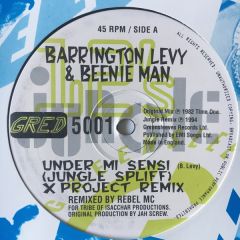 Barrington Levy & Beenie Man - Barrington Levy & Beenie Man - Under Mi Sensi - Greensleeves Records