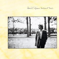 David Sylvian - David Sylvian - Brilliant Trees - Virgin