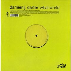 Damien J Carter - Damien J Carter - What World - Vendetta