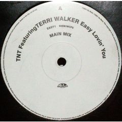 Tnt Feat Terri Walker - Tnt Feat Terri Walker - Easy Lovin You - Go Beat