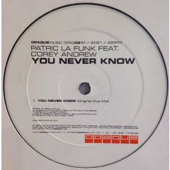 Patric La Funk Feat. Corey Andrew - Patric La Funk Feat. Corey Andrew - You Never Know - Opaque