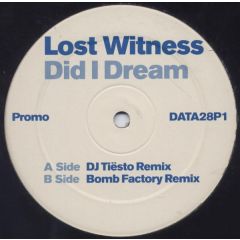 Lost Witness - Lost Witness - Did I Dream (Remixes) - Data