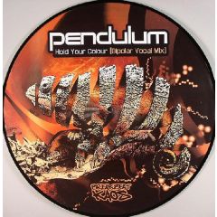Pendulum - Pendulum - Hold Your Colour (Remix) (Pic Disc) - Breakbeat Kaos