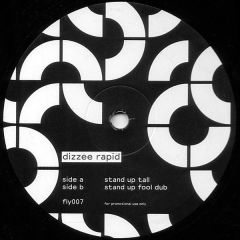 Dizzee Rapid - Dizzee Rapid - Stand Up Tall - Fly Breaks 7