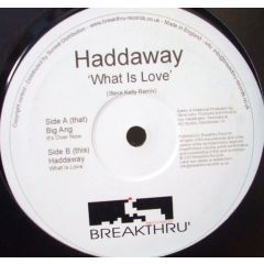 Haddaway / Big Ang - Haddaway / Big Ang - What Is Love / It's Over Now - Breakthru' Records