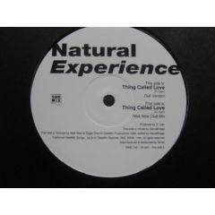 Natural Experience - Natural Experience - Thing Called Love - Btech