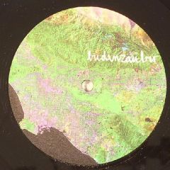 [a]pendics.shuffle - [a]pendics.shuffle - Re-Fried Monument EP - Budenzauber Recordings