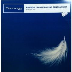 Rawsoul Orchestra Feat. Concha Buika - Rawsoul Orchestra Feat. Concha Buika - Everyday - Flamingo Discos