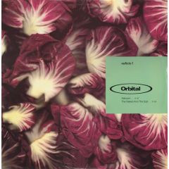 Orbital - Orbital - Halcyon / The Naked And The Dub - Internal