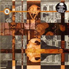 Various Artists - Various Artists - The Theory Of Evolution - Warp