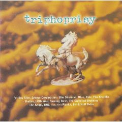 Various Artists - Various Artists - Triphoprisy - Squat Recordings
