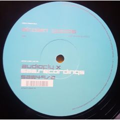Audiofly X - Audiofly X - Stolen Goods - SAW