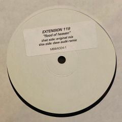 Extension 119 - Extension 119 - Flood Of Heaven - Moonshine