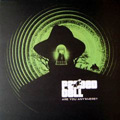 Padded Cell - Padded Cell - Are You Anywhere - Dc Recordings