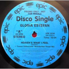 Gloria Estefan - Heaven's What I Feel - Epic