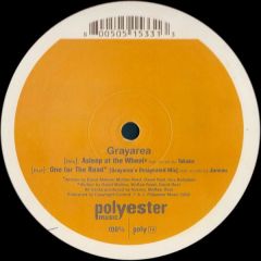 Grayarea - Grayarea - Asleep At The Wheel / One For The Road (Grayarea's Designated Mix) - Polyester Music