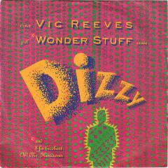 Vic Reeves And The Wonder Stuff - Vic Reeves And The Wonder Stuff - Dizzy - Sense