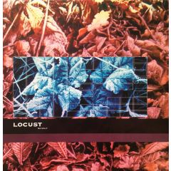 Locust - Locust - Skysplint - R&S