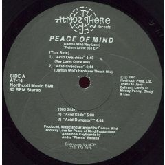 Peace Of Mind - Peace Of Mind - Return To The 303 EP - Atmosphere