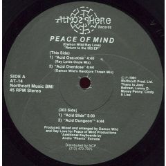 Peace Of Mind - Peace Of Mind - Return To The 303 EP - Atmosphere
