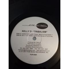Kelly D - Kelly D - Tribalism (Disc 2) - Pure