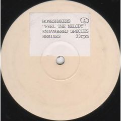 Boneshakers - Boneshakers - Feel The Melody (The Remixes) - Scat Records