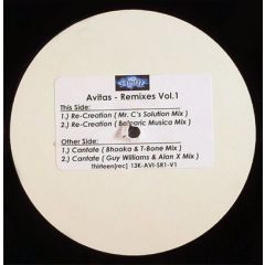 Avitas - Avitas - Remixes (Volume 1) - Thirteen Rec 1